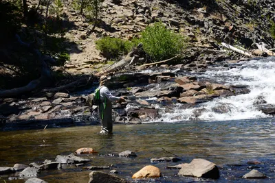 DSC_9923 (Large).JPG